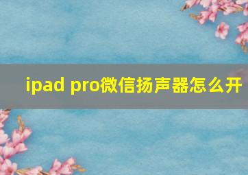 ipad pro微信扬声器怎么开